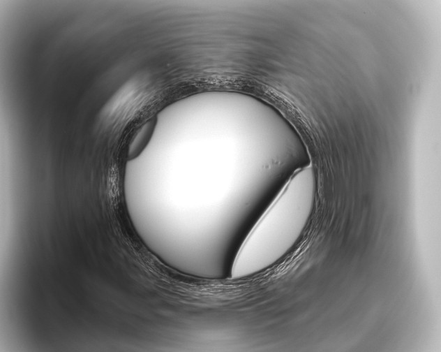 X0000096431107200801241018