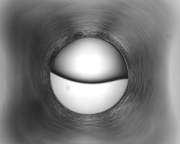 X0000096431108200801241018