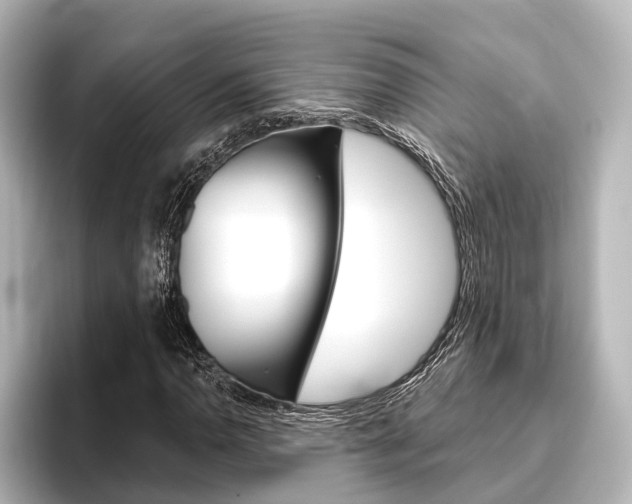 X0000096431110200801241018