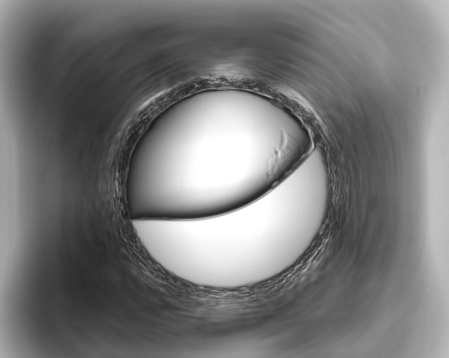 X0000096431112200801241018