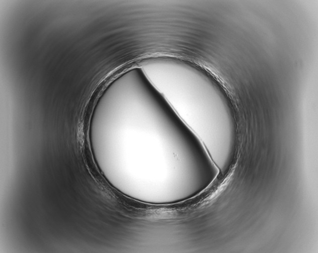 X0000096431113200801241018