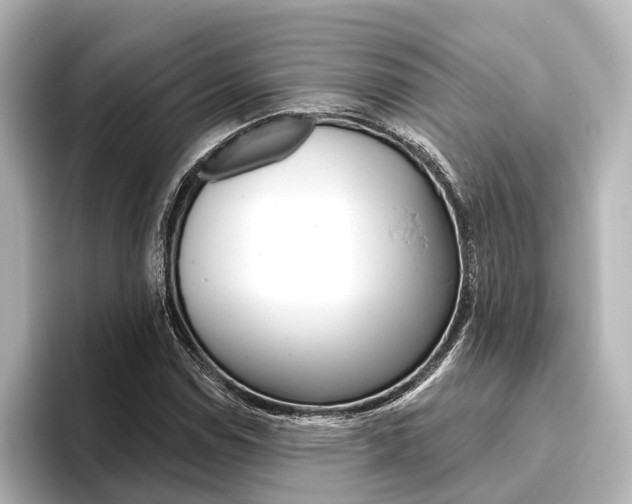 X0000096431114200801241018