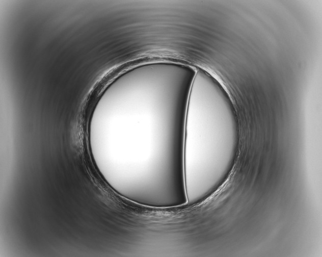 X0000096431115200801241018