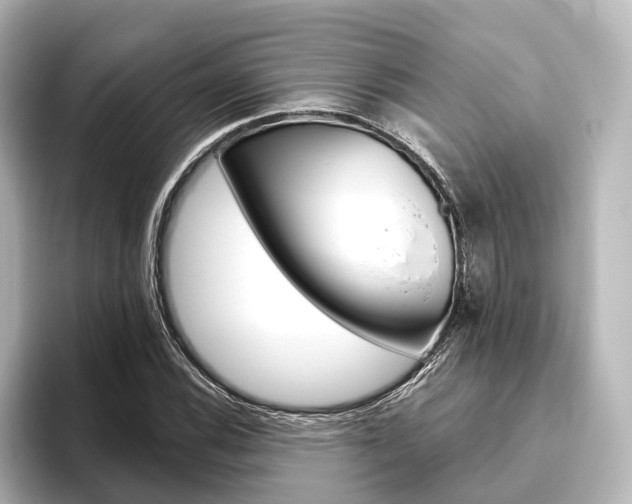 X0000096431116200801241018