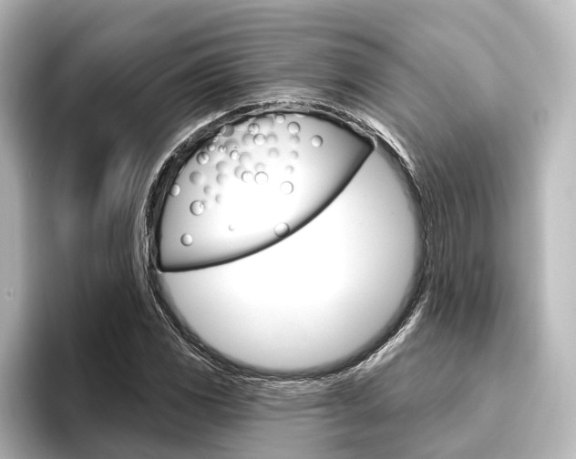 X0000096431117200801241018