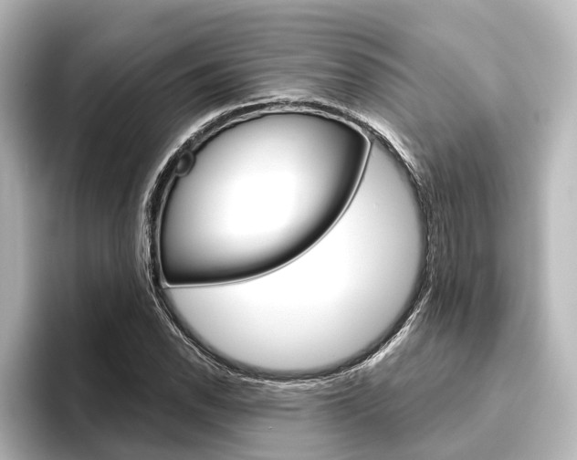 X0000096431118200801241018