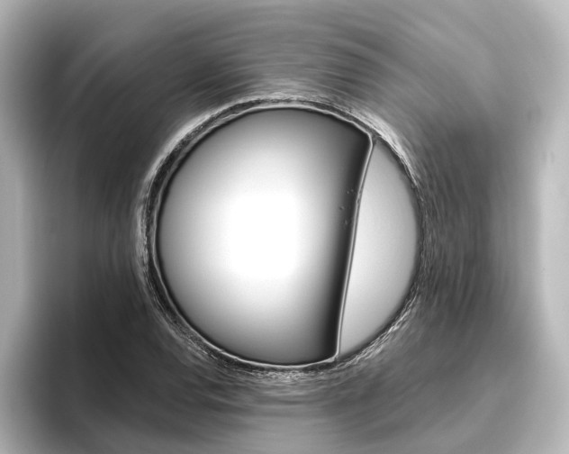 X0000096431120200801241018