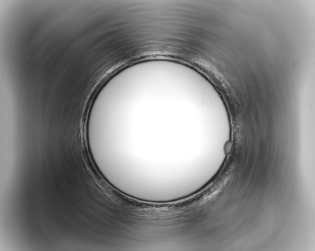 X0000096431121200801241018