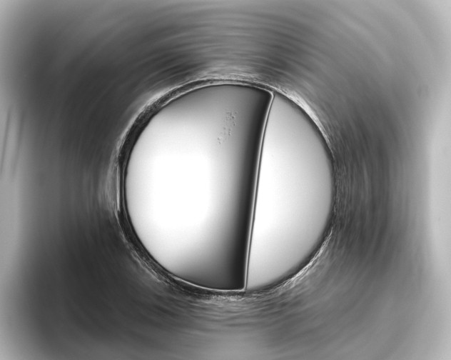 X0000096431123200801241018