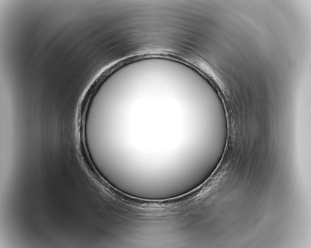 X0000096431124200801241018