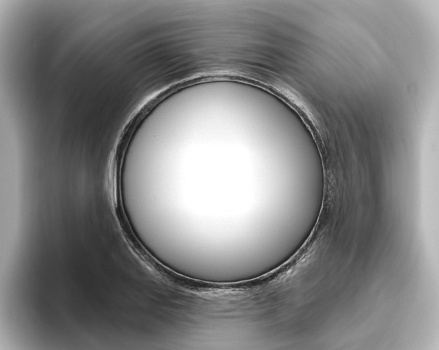 X0000096431127200801241018