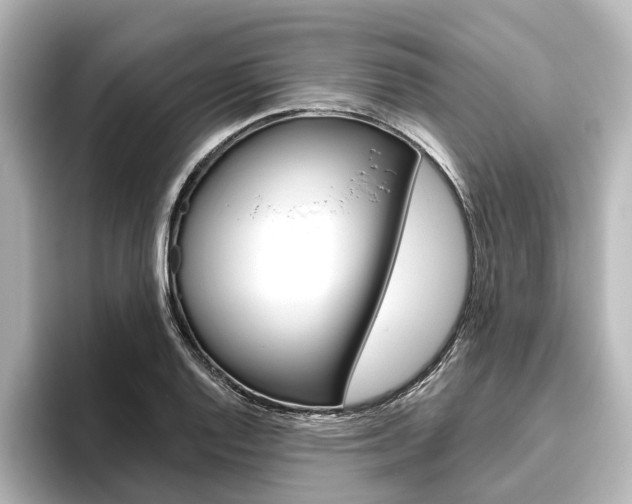 X0000096431128200801241018
