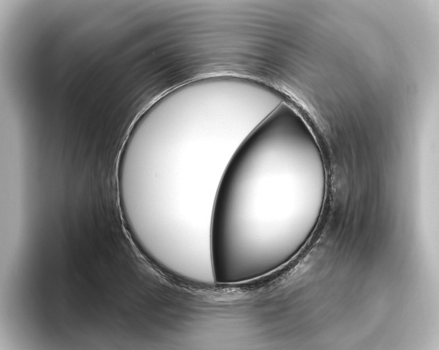 X0000096431129200801241018