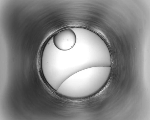 X0000096431130200801241018