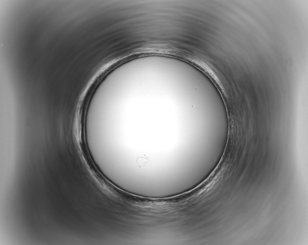 X0000096431131200801241018
