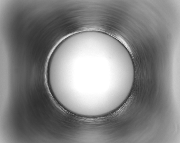 X0000096431132200801241018