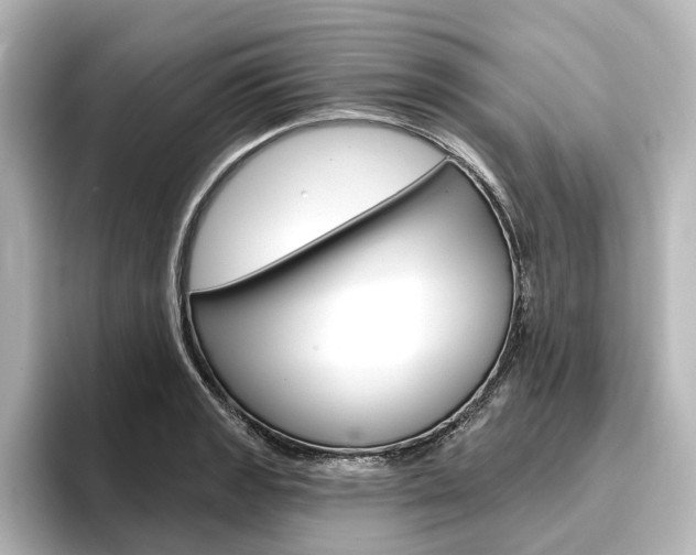 X0000096431133200801241018