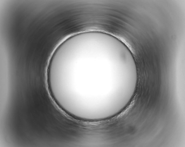 X0000096431134200801241018