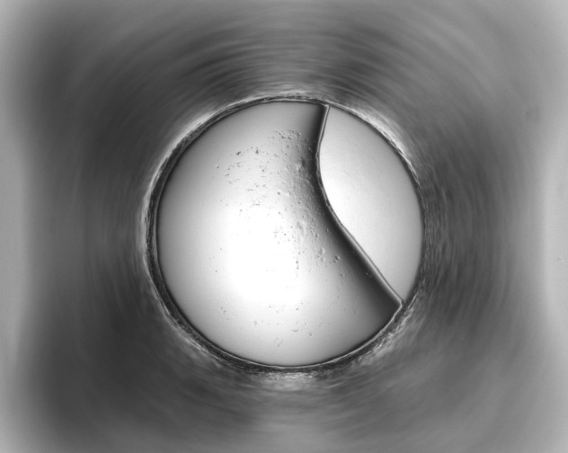 X0000096431135200801241018