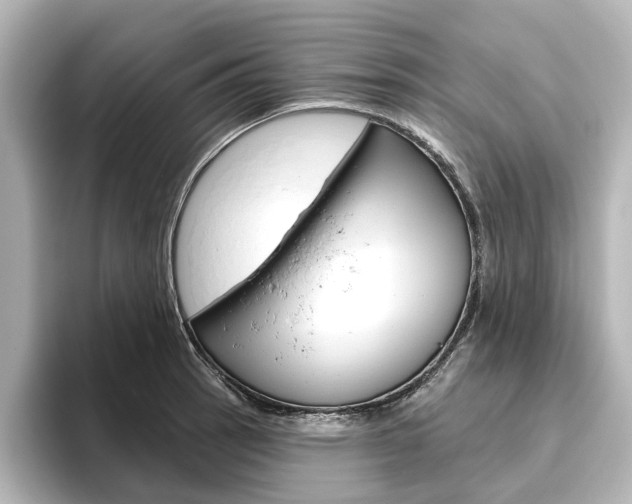 X0000096431137200801241018