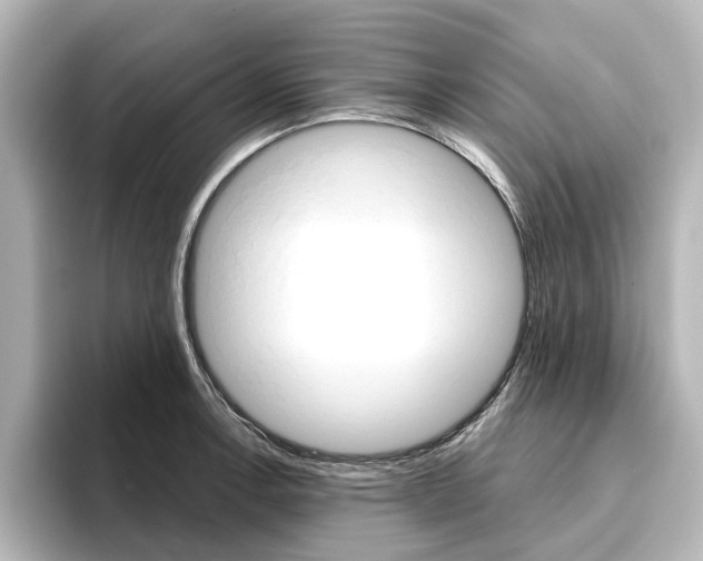 X0000096431138200801241018