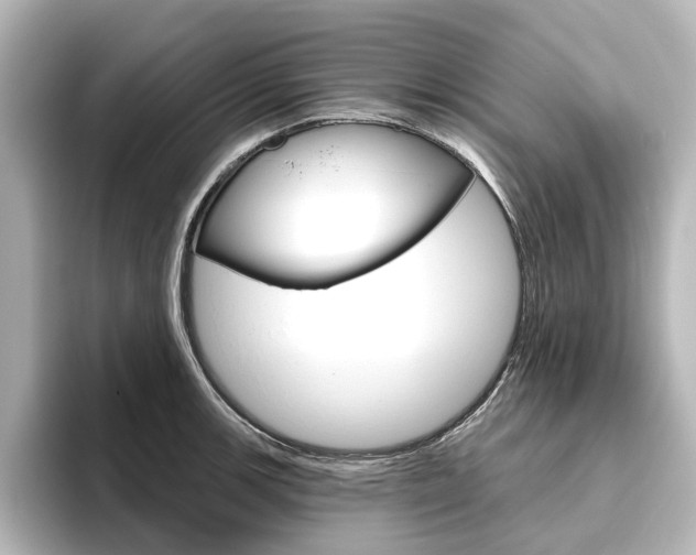 X0000096431139200801241018