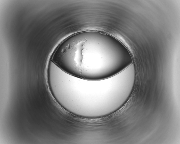 X0000096431140200801241018