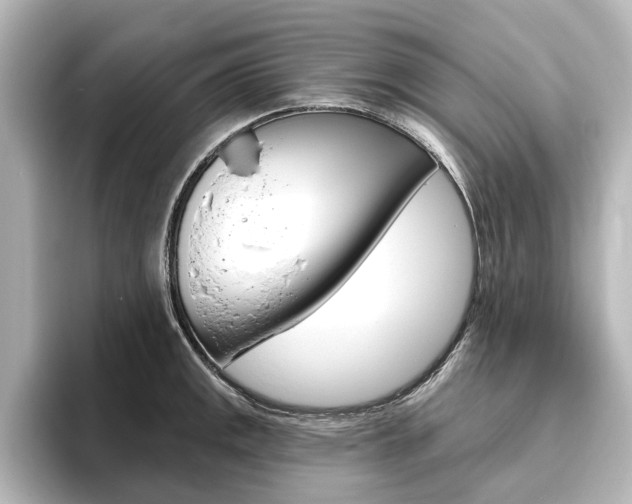 X0000096431141200801241018