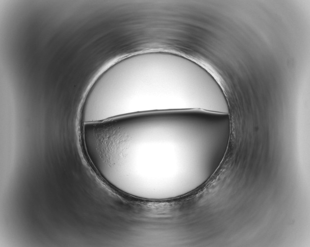 X0000096431142200801241018