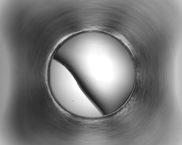 X0000096431143200801241018