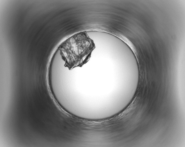 X0000096431144200801241018