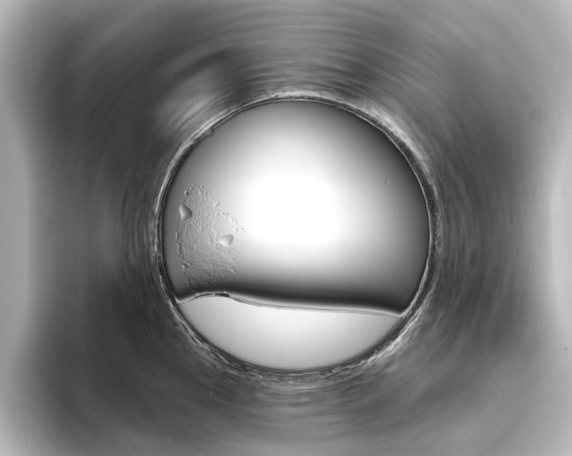 X0000096431145200801241018