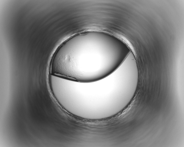 X0000096431146200801241018