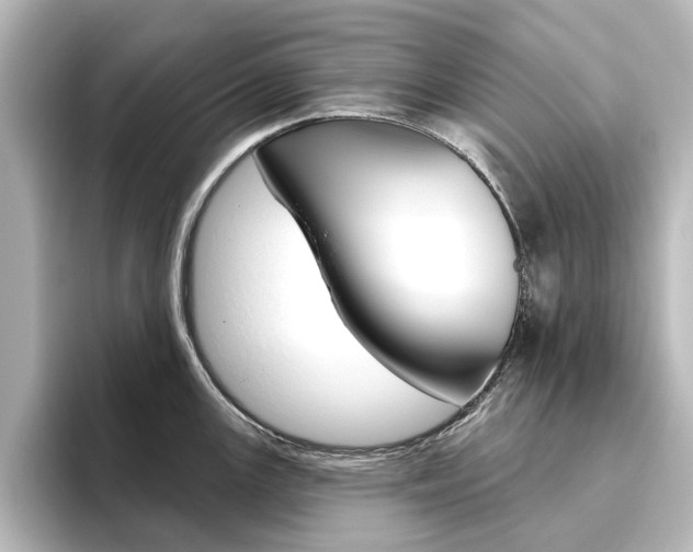 X0000096431147200801241018