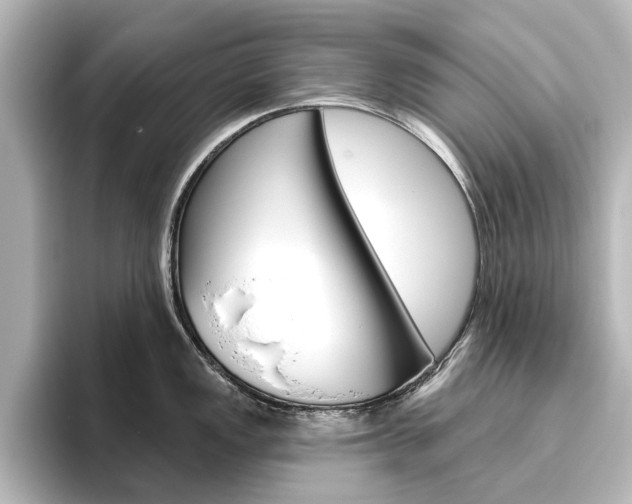 X0000096431149200801241018