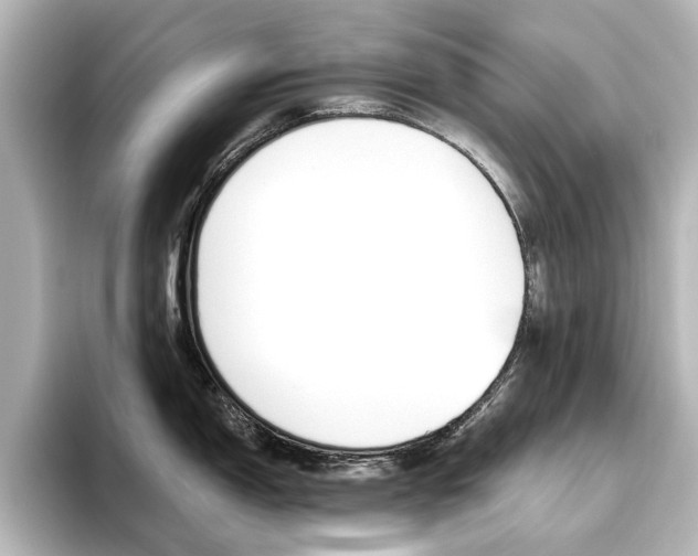 X0000096431150200801241018