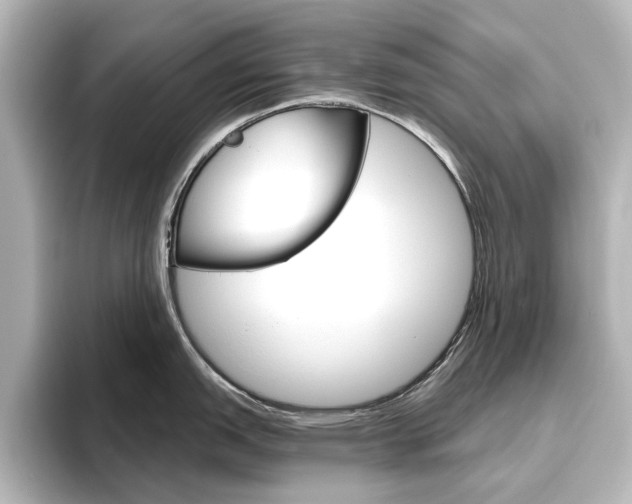 X0000096431151200801241018