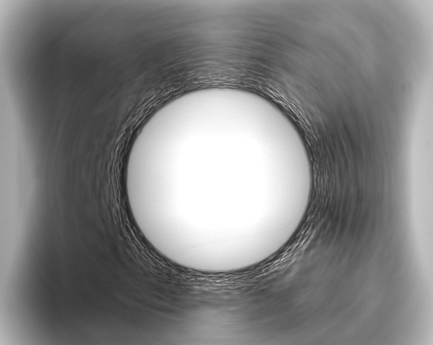 X0000096431153200801241018