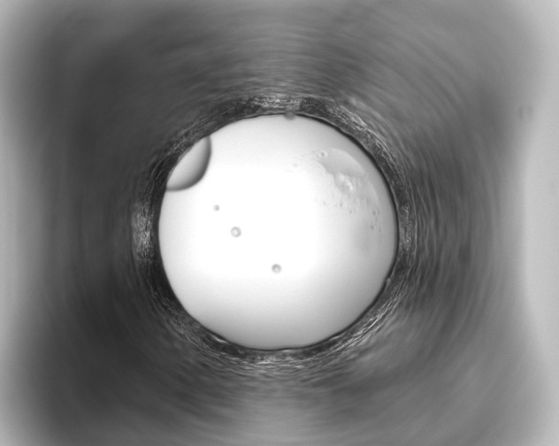 X0000096431154200801241018