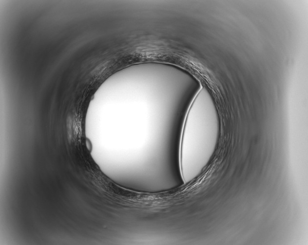 X0000096431155200801241018