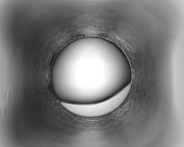 X0000096431157200801241018