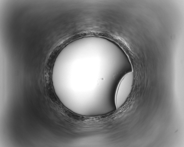 X0000096431159200801241018