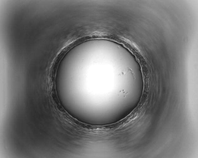 X0000096431160200801241018