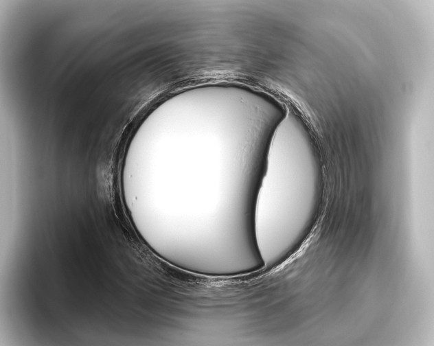X0000096431162200801241018
