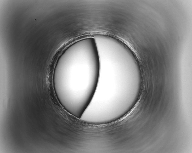 X0000096431163200801241018