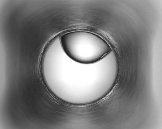 X0000096431164200801241018