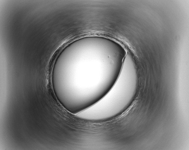 X0000096431165200801241018