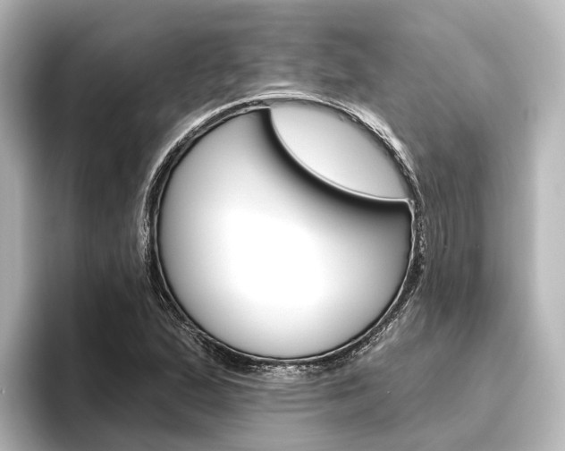 X0000096431167200801241018