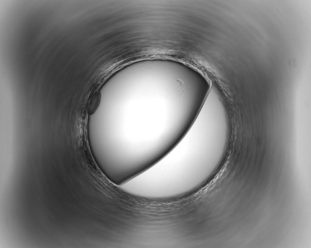 X0000096431169200801241018