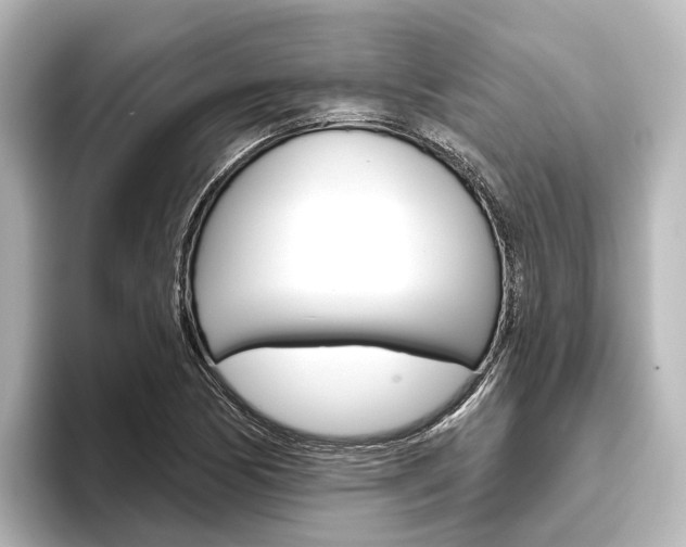 X0000096431170200801241018